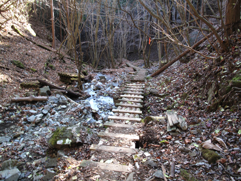 20171207hike (344)